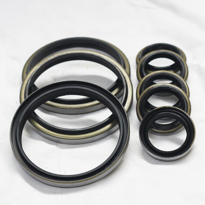 オイル耐性 DKB DKBI ゴム NBR FKM PU 高電圧耐久性のある骨格オイルシール