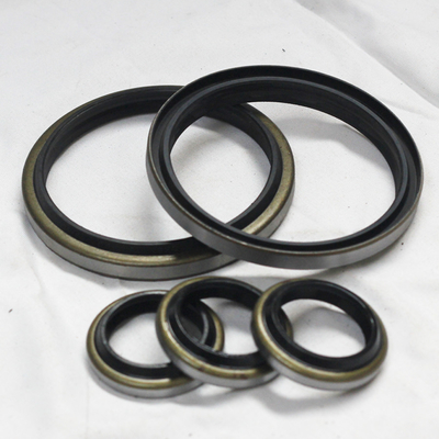 オイル耐性 DKB DKBI ゴム NBR FKM PU 高電圧耐久性のある骨格オイルシール