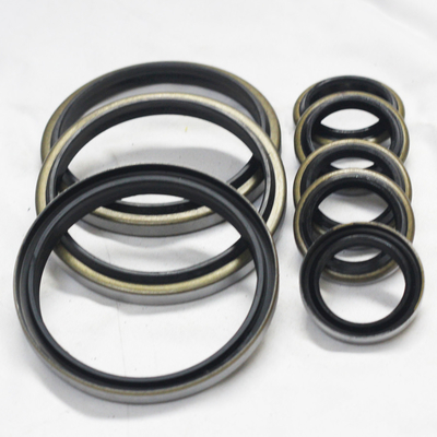 オイル耐性 DKB DKBI ゴム NBR FKM PU 高電圧耐久性のある骨格オイルシール