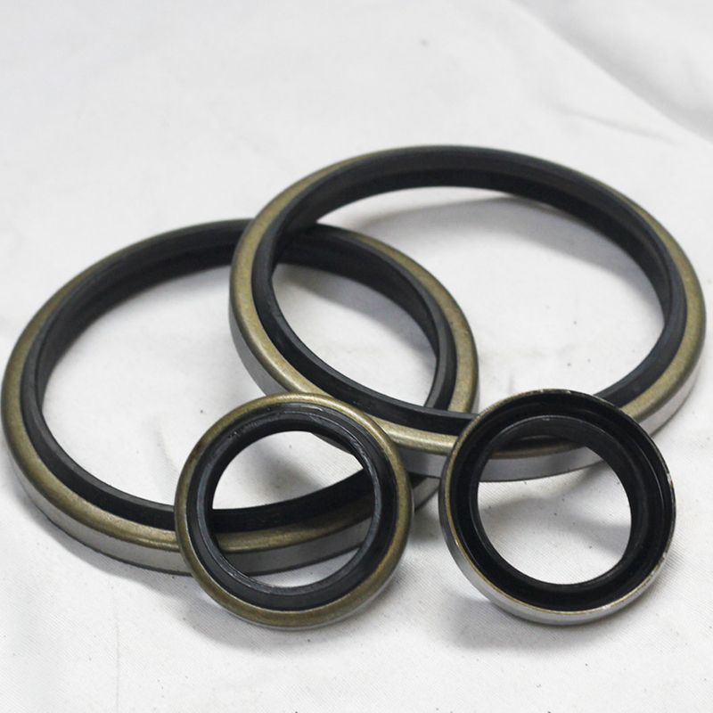 オイル耐性 DKB DKBI ゴム NBR FKM PU 高電圧耐久性のある骨格オイルシール
